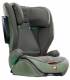 Recaro EasyLife Buggy