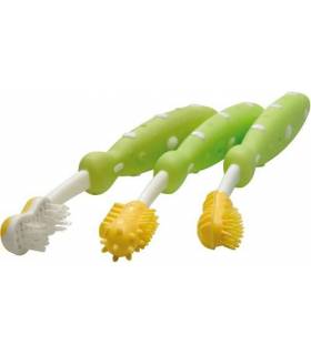 Nuby Zahnputztrainer grün (3er Set)