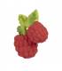 Oli & Carol Beissring Valery the Raspberry