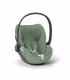 Cybex Cloud T i-Size Plus Leaf Green