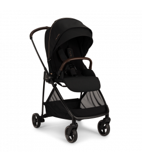 copy of Recaro EasyLife Buggy