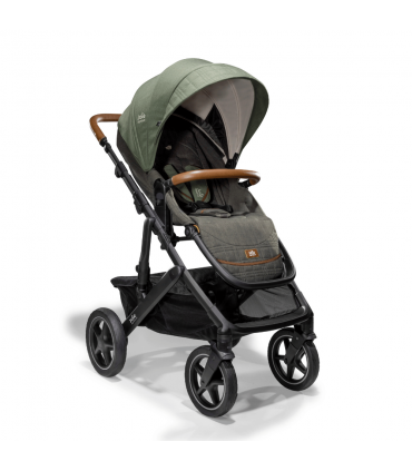 copy of Recaro EasyLife Buggy