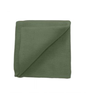 Zewi Bébé-Jou Baby Gaze UNI Bunt 60x60 (Nuscheli) Moss