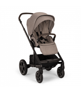 copy of Recaro EasyLife Buggy
