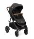 copy of Recaro EasyLife Buggy