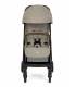 copy of Recaro EasyLife Buggy
