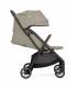 copy of Recaro EasyLife Buggy