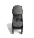 copy of Recaro EasyLife Buggy
