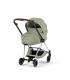 Cybex Mios 5 Style Set - Kinderwagen ab Geburt