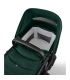 Bugaboo Fox 5 Renew Black Fern Green
