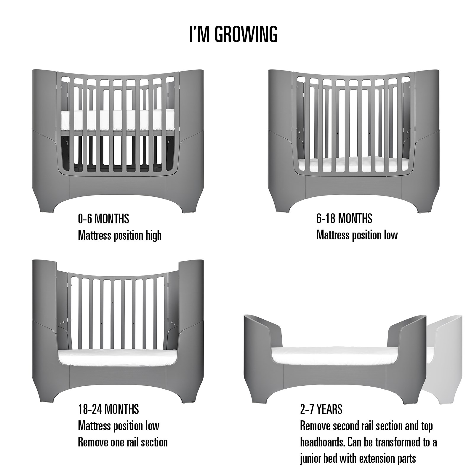 Im-growing_Leander_white_bed.jpg