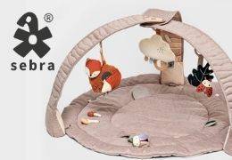 Krabbeldecke mit Spielbogen