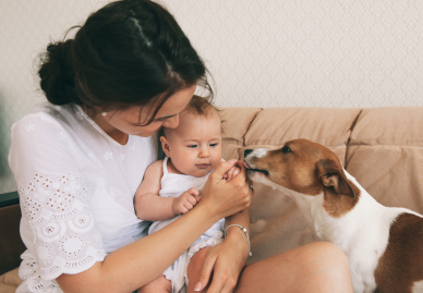 Baby and Haustier: So klappt´s im Alltag